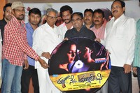 Tanu Nenu Mohammad Rafi Audio Launch